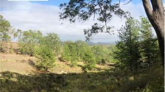 Horse Property for Sale - Lot 163 Ettrick Road - Ettrick Kyogle NSW 2474