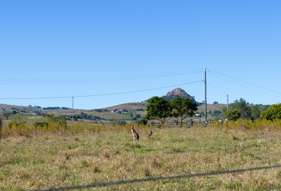 52 Milford Middle Road Milford QLD 4310