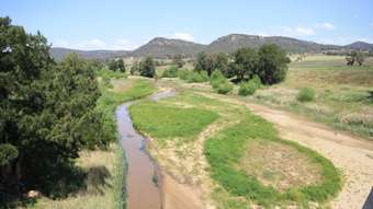 Horse Property for Sale - 130 Rylstone Road Sandy Hollow NSW 