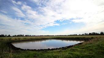 Horse Property for Sale - 9 Bloomfield Lane Cardinia VIC 