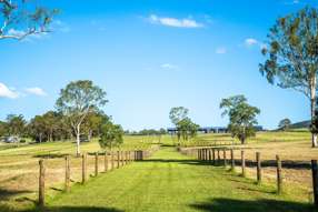 102-162 Cedar Creek Road Belli Park QLD 4562