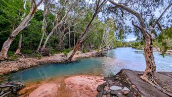 Horse Property for Sale - 106 Toolakea Beach Road Bluewater QLD 4818