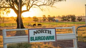 Horse Property for Sale - 1592 Casuarina Drive Gooloogong NSW 2805