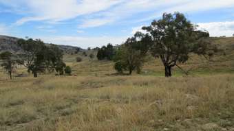Horse Property for Sale - Lot 162 Tarrants Gap Road Wyangala NSW 2808