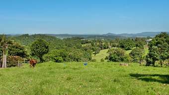 Horse Property for Sale - 175 Connor Road Tregeagle NSW 