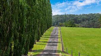 Horse Property for Sale - 470 Larrys Mountain Road Mogendoura NSW 2537