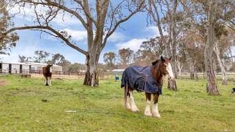 Horse Property for Sale - 89 Scharpels Rd Mount Pleasant SA 