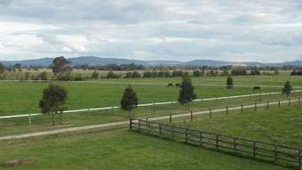 Horse Property for Sale - 493 Plain Road Tabilk VIC 3607