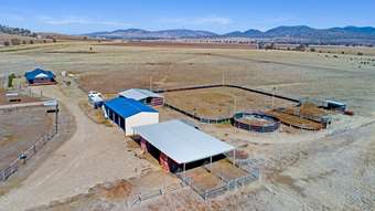 Horse Property for Sale - 2509 Werris Creek Road, Werris Creek Tamworth NSW 