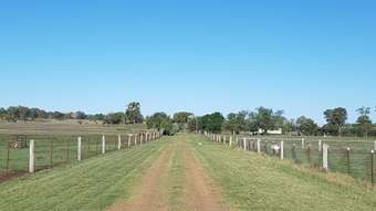 Horse Property for Sale - 74 Warfields Road Allora QLD 4362