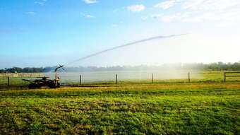 Horse Property for Sale - 400 South Yaamba Road Alton Downs QLD 