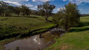 Horse Property for Sale - 701 Mulla Creek Road Tamworth NSW 