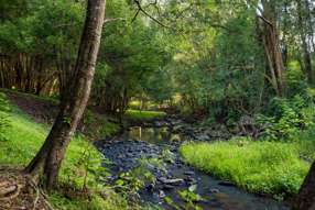 Horse Property for Sale - 23 Ansell Road Witta QLD 4552