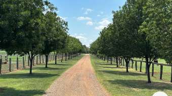 Horse Property for Sale - 470 Dalswinton Road Denman NSW 2328