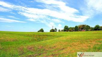 Horse Property for Sale - Lot 1 Euroka Road Euroka NSW 