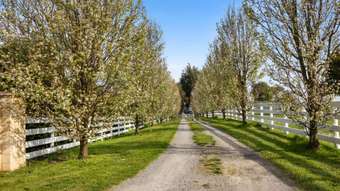 Horse Property for Sale - 605 Mardan-Dumbalk Road Mardan VIC 3953