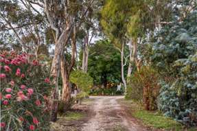 Horse Property for Sale - 90 Dawsons Road Avoca VIC 3467
