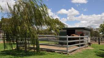 Horse Property for Sale - 662 Biddeston-Southbrook Road Biddeston QLD 