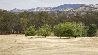 Horse Property for Sale - Lot Longwood Gobur Road Creightons Creek VIC 