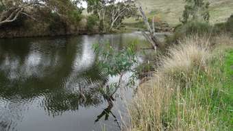 Horse Property for Sale - 110 Volum Road Gnarwarre VIC 