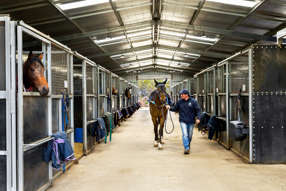 Horse Property for Sale - 70 Roses Lane Clunes VIC 3370