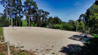 Horse Property for Sale - 880  Farmers Road Dumbalk North VIC 3956