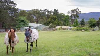 Horse Property for Sale - 44 Hoddle Street Yarra Junction VIC 