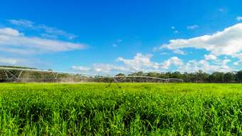 Horse Property for Sale - Marulan NSW 2579