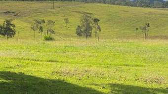 Horse Property for Sale - 663 Bellmere Rd Bellmere QLD 4510