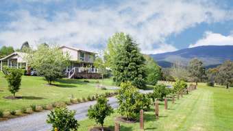 Horse Property for Sale - 30 Herbert Avenue East Warburton VIC 