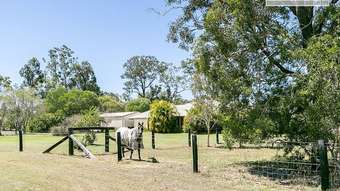 Horse Property for Sale - 153 Barranjoey Drive Sunshine Acres QLD 