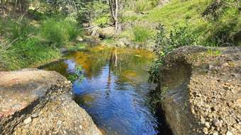 Horse Property for Sale - 1160 Castlerock Road Castle Rock NSW 2333