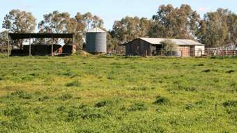 Horse Property for Sale - 00 Minard Lane Bamawm VIC 3561