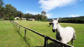 Horse Property for Sale - 138 Old Burrier Road Burrier NSW 