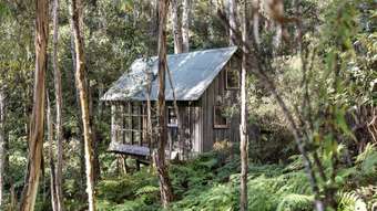 Horse Property for Sale - 620 Bambra Cemetery Road Deans Marsh VIC 3235