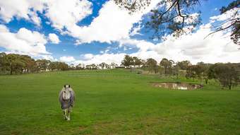 Horse Property for Sale - 15 Bartletts Lane Kangaroo Ground VIC 