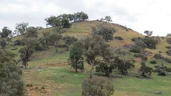 Horse Property for Sale - Lot 147 Tarrants Gap Road Wyangala NSW 2808