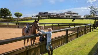 Horse Property for Sale - 236 Mountain View Road Maleny QLD 