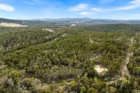 Horse Property for Sale - 315 Levendale Back Road Levendale TAS 7120