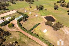Horse Property for Sale - 170 Back Creek Road  High Camp VIC 3764