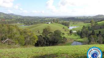 Horse Property for Sale - 175 Diamondfield Road Amamoor QLD 4570