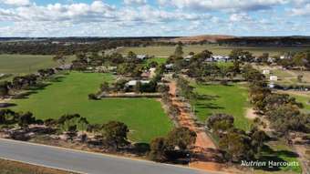 Horse Property for Sale - Lot 494 Haines Street Merredin WA 6415
