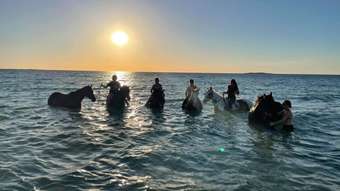 Horse Property for Sale - 72 Valley View Jurien Bay WA 6516