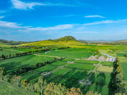 Horse Property for Sale - 101 Segenhoe Road Segenhoe NSW 2337