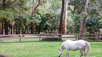 Horse Property for Sale - 21 Hillcrest Grove Healesville VIC 3777
