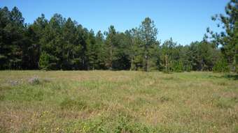 Horse Property for Sale - 205 Twin View Road Elimbah QLD 